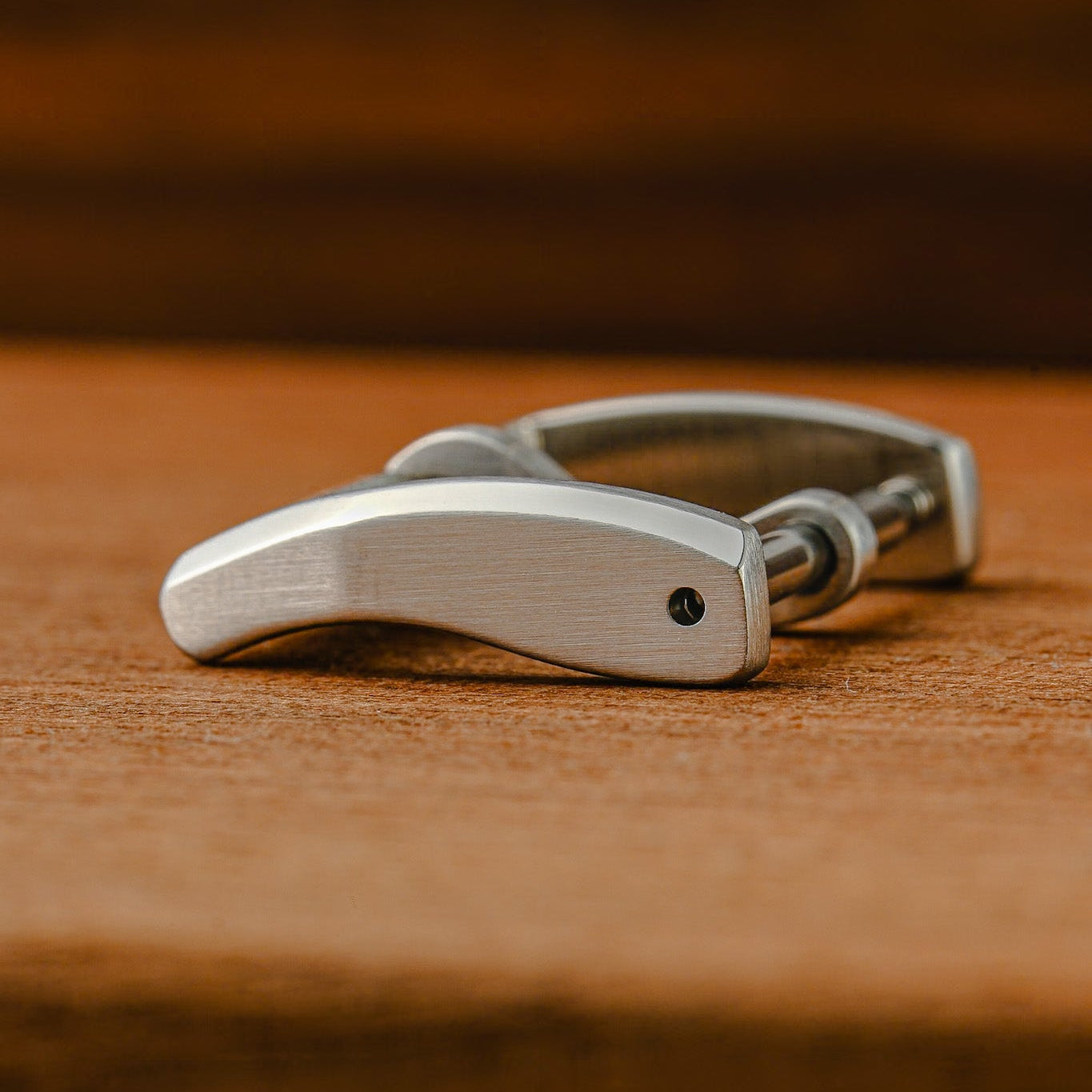Stainless Steel Buckle